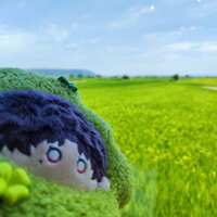 https://images.plurk.com/2yeUG4ry1wch9lrKGt2or.jpg