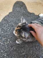 https://images.plurk.com/2ypRNAGQEq0W4xCg0EALvM.jpg