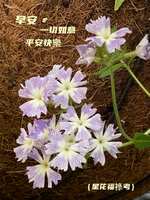 https://images.plurk.com/2ys3B5pTnKsB3fIFrxXoWI.jpg