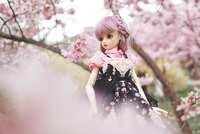 https://images.plurk.com/2ytiO1XQXMqNtMZdip5R0G.jpg