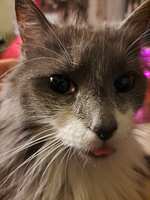 https://images.plurk.com/2yu8sdrRn5OFnQ6xWeGJx3.jpg