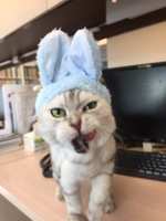 https://images.plurk.com/2zFdOfZTGOsPwbG23HkfLz.jpg