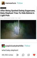 https://images.plurk.com/2zFtL1D9HOYfnuqsdyyyxF.jpg