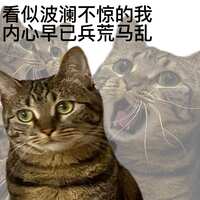 https://images.plurk.com/2zL3UWfNE4279omdGbMhis.jpg