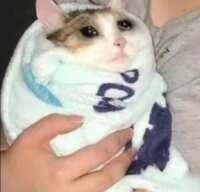 https://images.plurk.com/2zVFATF0KXOuoXEBoHULEr.jpg