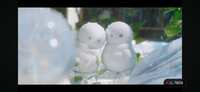 https://images.plurk.com/2zgZs9rdVzOTJKT4tgwSWk.png
