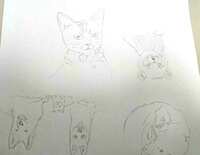 https://images.plurk.com/2zqkp5QcBudvzfhafGQVn5.jpg