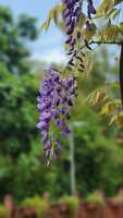 https://images.plurk.com/2zuhqfzwRtlp4GtP2V7Jam.jpg