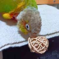 https://images.plurk.com/309qTHO3t31PzTzXIHC1JZ.png