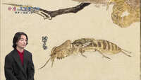 https://images.plurk.com/30Gd75x466NI0MieRQHx0C.jpg