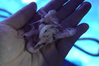 https://images.plurk.com/30HdfhkMNI8NnS2nmEeWT.jpg
