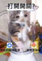 https://images.plurk.com/30SjKEkhlsaBnCaVFNcWTq.jpg