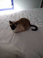https://images.plurk.com/30WNH1WNd7FREWbDCY8Tuf.jpg