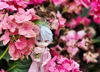 https://images.plurk.com/30WwL3uNxpRkU4qUdiSu27.jpg