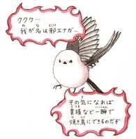 https://images.plurk.com/30Y8uHKFwFuhkwf2XKnMst.png