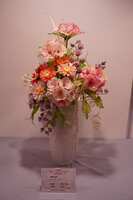 https://images.plurk.com/30hZtxBx4tT7dASmOP8ph6.jpg