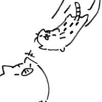 https://images.plurk.com/30jvSeMTua6cV23qDZLSv1.jpg