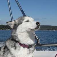 https://images.plurk.com/30pDWHWwUPDCXtgnxPXtll.jpg