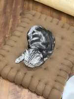 https://images.plurk.com/30tETkXYiyZ3fWio0WvyP6.jpg