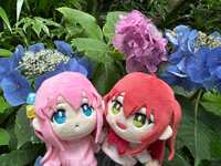 https://images.plurk.com/30wzO63OuZfWQOsVd8IvGw.jpg