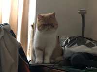 https://images.plurk.com/3163HBAh87EQFRFo17FFy8.jpg