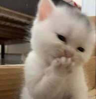 https://images.plurk.com/31A0M1PBJgSot4aDhT3meP.jpg