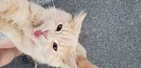 https://images.plurk.com/31BahLMUUsTQ7dzti1Y4lB.jpg