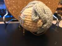 https://images.plurk.com/31D8sX1rc0Oblca3whDBpy.jpg