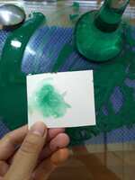 https://images.plurk.com/31EJT3iAewkEHRFlbNcRtT.jpg