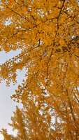 https://images.plurk.com/31WtCZZIPviz2BVeXia6A.jpg