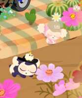 https://images.plurk.com/31o7jzdWDXbcMLk7i1yWnx.png