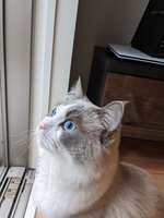 https://images.plurk.com/31tKEtZ9UEtiBG2HOwEktB.jpg