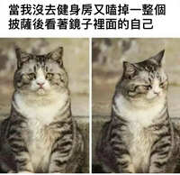 https://images.plurk.com/325vSUsgjGUvZCdpWLirOV.jpg