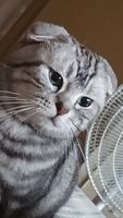 https://images.plurk.com/327AZ3gXnuHXB9OeniDQGV.jpg