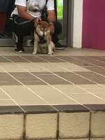 https://images.plurk.com/32ADDYfc5FWMibUHbG6LcY.jpg