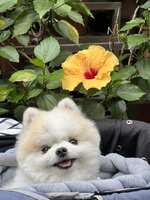 https://images.plurk.com/32CzOSAgPpBW3Bi5poJUyx.jpg