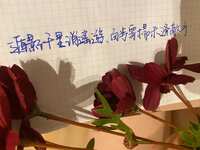 https://images.plurk.com/32DCZufOQ42M6QeytcNDNX.jpg