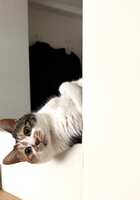 https://images.plurk.com/32E0Jy4OjRYQhltjV13nHD.jpg