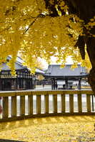 https://images.plurk.com/32HIP7lyTrSHjSXXXtB2J0.jpg