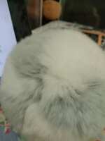 https://images.plurk.com/32KAHpxRJQLdmGc5GaCtYo.jpg