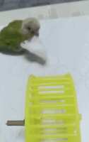 https://images.plurk.com/32KPxMVNRGR0CYWWWURPa0.gif