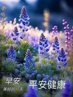 https://images.plurk.com/32PzJ0BGHjOF1RGezSWENF.jpg