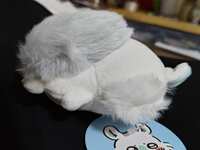 https://images.plurk.com/32QLRr7IrLtPAhfGPkBAYa.jpg