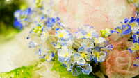 https://images.plurk.com/32Z5AEykxZMpl0HgjGcANX.jpg