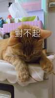 https://images.plurk.com/32aGDN6kl394XtdplT1KMA.jpg