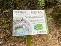 https://images.plurk.com/32ioVQj8YwNgyu3XTVmLP0.jpg
