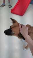 https://images.plurk.com/32kU3eMEePLJooHBNxglsq.jpg