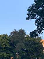 https://images.plurk.com/32mJPJR3eYclBn3ICecUY7.jpg