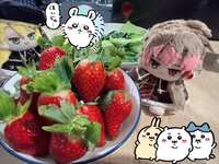 https://images.plurk.com/32n0bUh2yGg8A7AvQzcgkt.jpg