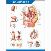 https://images.plurk.com/32oKEmv44f7KskfS9oNErV.jpg